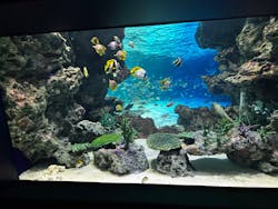 サンシャイン水族館に投稿された画像（2026/2/8）