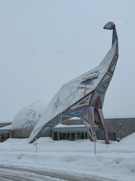 福井県立恐竜博物館に投稿された画像（2026/2/8）