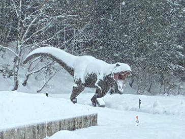 福井県立恐竜博物館に投稿された画像（2026/2/8）