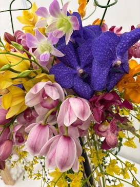 世界らん展2026-花と緑の祭典-に投稿された画像（2026/2/8）