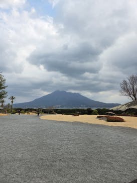 仙巌園に投稿された画像（2026/2/8）