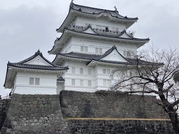 小田原城に投稿された画像（2026/2/8）