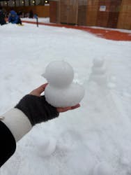 ひらかたパークに投稿された画像（2026/2/8）