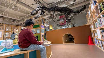 国立科学博物館に投稿された画像（2026/2/8）