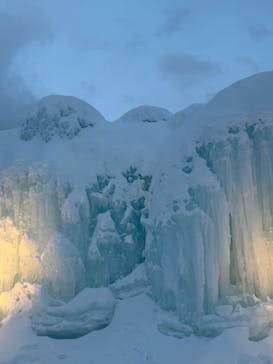 札幌観光バスに投稿された画像（2026/2/8）