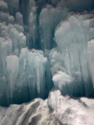 札幌観光バスに投稿された画像（2026/2/8）