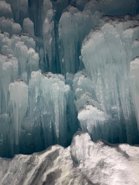 札幌観光バスに投稿された画像（2026/2/8）