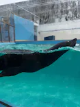竹島水族館に投稿された画像（2026/2/8）
