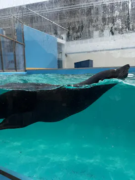 竹島水族館に投稿された画像（2026/2/8）