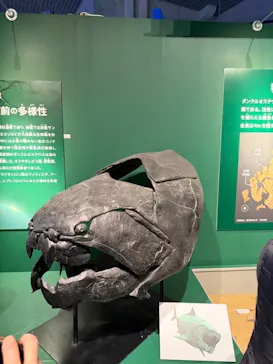 特別展「大絶滅展―生命史のビッグファイブ」に投稿された画像（2026/2/8）