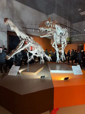 特別展「大絶滅展―生命史のビッグファイブ」に投稿された画像（2026/2/8）