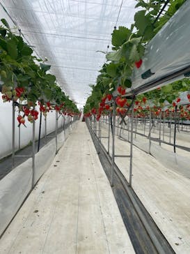 株式会社こまち野に投稿された画像（2026/2/8）