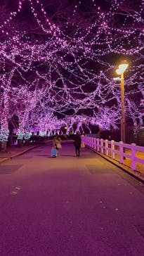 東武動物公園に投稿された画像（2026/2/8）