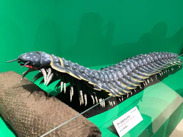 特別展「大絶滅展―生命史のビッグファイブ」に投稿された画像（2026/2/8）