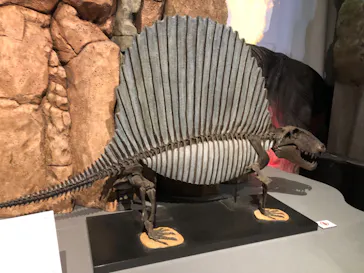 特別展「大絶滅展―生命史のビッグファイブ」に投稿された画像（2026/2/8）