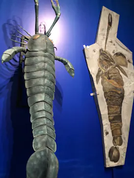 特別展「大絶滅展―生命史のビッグファイブ」に投稿された画像（2026/2/8）