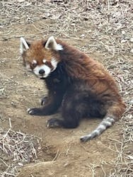 千葉市動物公園に投稿された画像（2026/2/8）