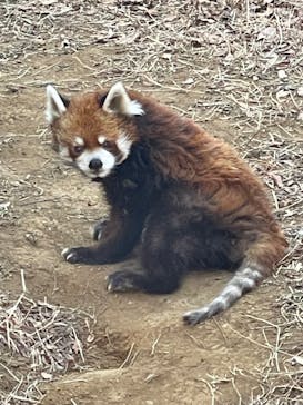 千葉市動物公園に投稿された画像（2026/2/8）