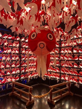 NARA KINGYO MUSEUMに投稿された画像（2026/2/8）