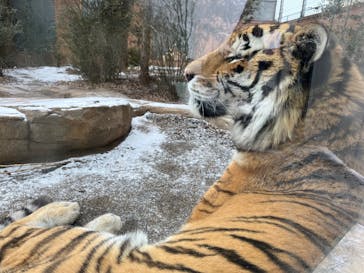 那須どうぶつ王国に投稿された画像（2026/2/8）