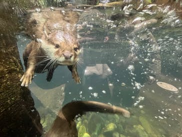 那須どうぶつ王国に投稿された画像（2026/2/8）