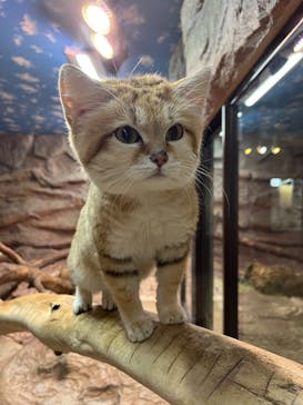 那須どうぶつ王国に投稿された画像（2026/2/8）