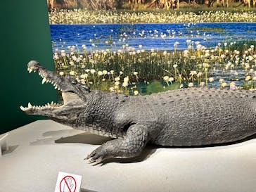 国立科学博物館に投稿された画像（2026/2/8）