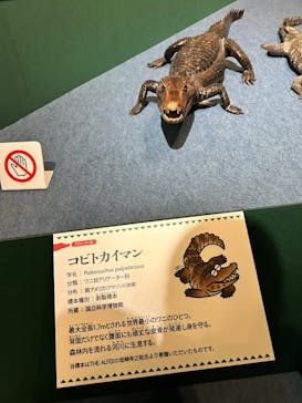 国立科学博物館に投稿された画像（2026/2/8）