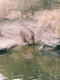 天王寺動物園に投稿された画像（2026/2/8）