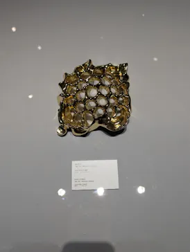 NAKED meets ガウディ展に投稿された画像（2026/2/8）