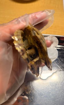 三重県真珠に投稿された画像（2026/2/8）