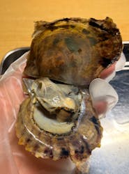 三重県真珠に投稿された画像（2026/2/8）