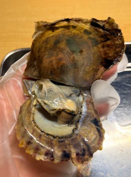 三重県真珠に投稿された画像（2026/2/8）