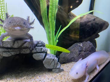 サンシャイン水族館に投稿された画像（2026/2/8）