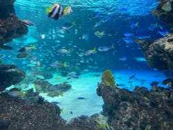 サンシャイン水族館に投稿された画像（2026/2/8）