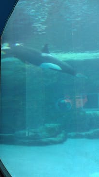 名古屋港水族館に投稿された画像（2026/2/8）