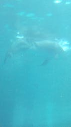 名古屋港水族館に投稿された画像（2026/2/8）