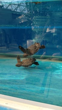 名古屋港水族館に投稿された画像（2026/2/8）