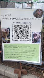 天王寺動物園に投稿された画像（2026/2/8）
