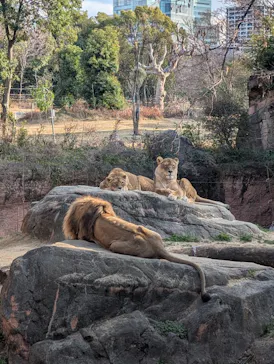 天王寺動物園に投稿された画像（2026/2/8）