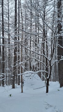 アウトドア外遊び体験ツアー EARTHに投稿された画像（2026/2/8）