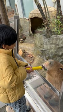 世界淡水魚園水族館　アクア・トトぎふに投稿された画像（2026/2/8）