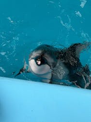 横浜・八景島シーパラダイスに投稿された画像（2026/2/8）