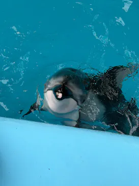 横浜・八景島シーパラダイスに投稿された画像（2026/2/8）