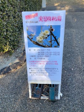 安城産業文化公園デンパークに投稿された画像（2026/2/8）