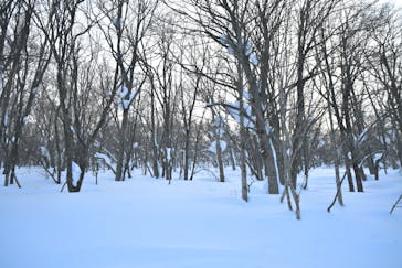 安比高原スキー場に投稿された画像（2026/2/8）