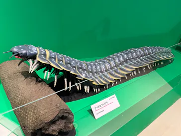 特別展「大絶滅展―生命史のビッグファイブ」に投稿された画像（2026/2/8）