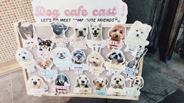 いぬカフェRio 浅草店に投稿された画像（2026/2/8）