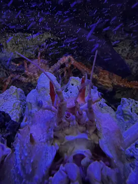 竹島水族館に投稿された画像（2026/2/9）