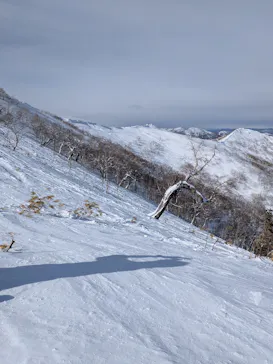星野リゾート　トマムスキー場に投稿された画像（2026/2/9）